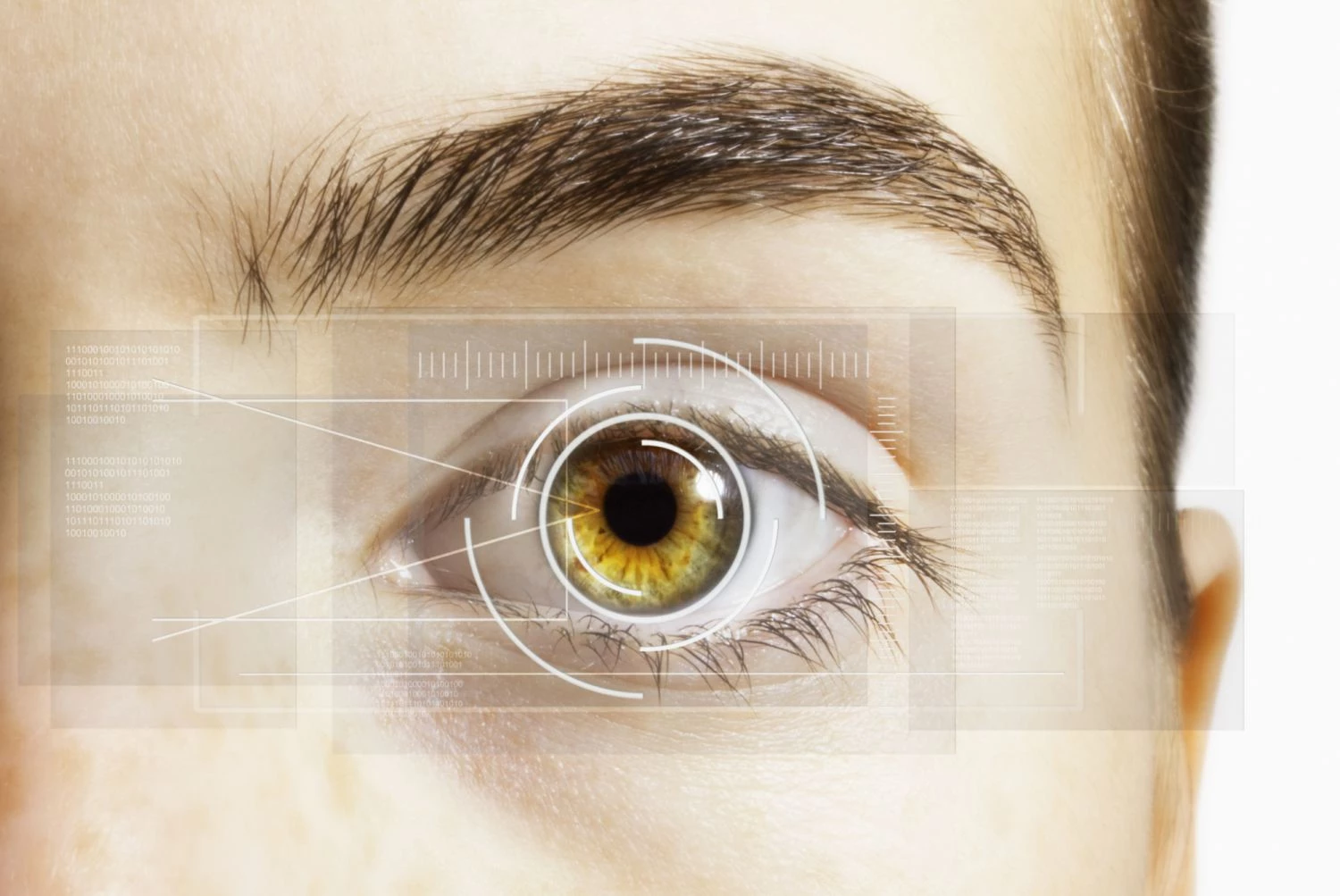 حس بینایی | مروری بر حواس پنج گانه انسان