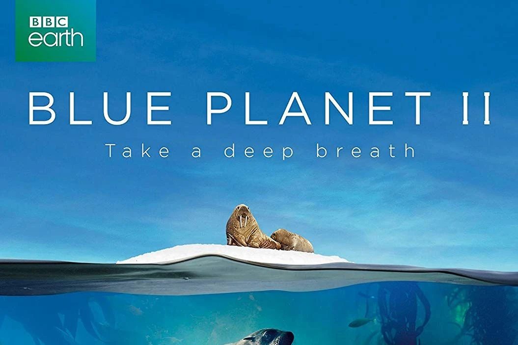 تصویر جلد دی‌وی‌دی "سیاره آبی 2"