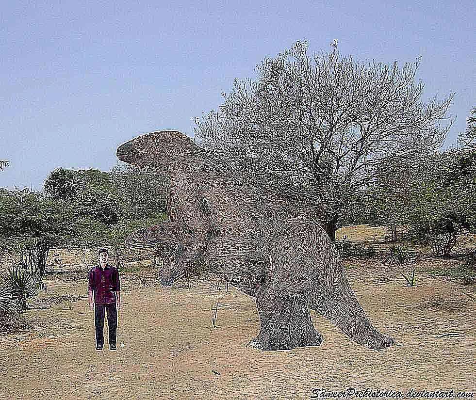 مگاتریوم در مقایسه با انسان