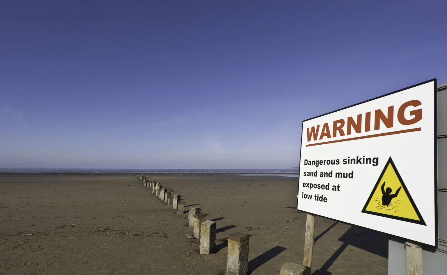 شن های متحرک کجا پیدا می شوند؟