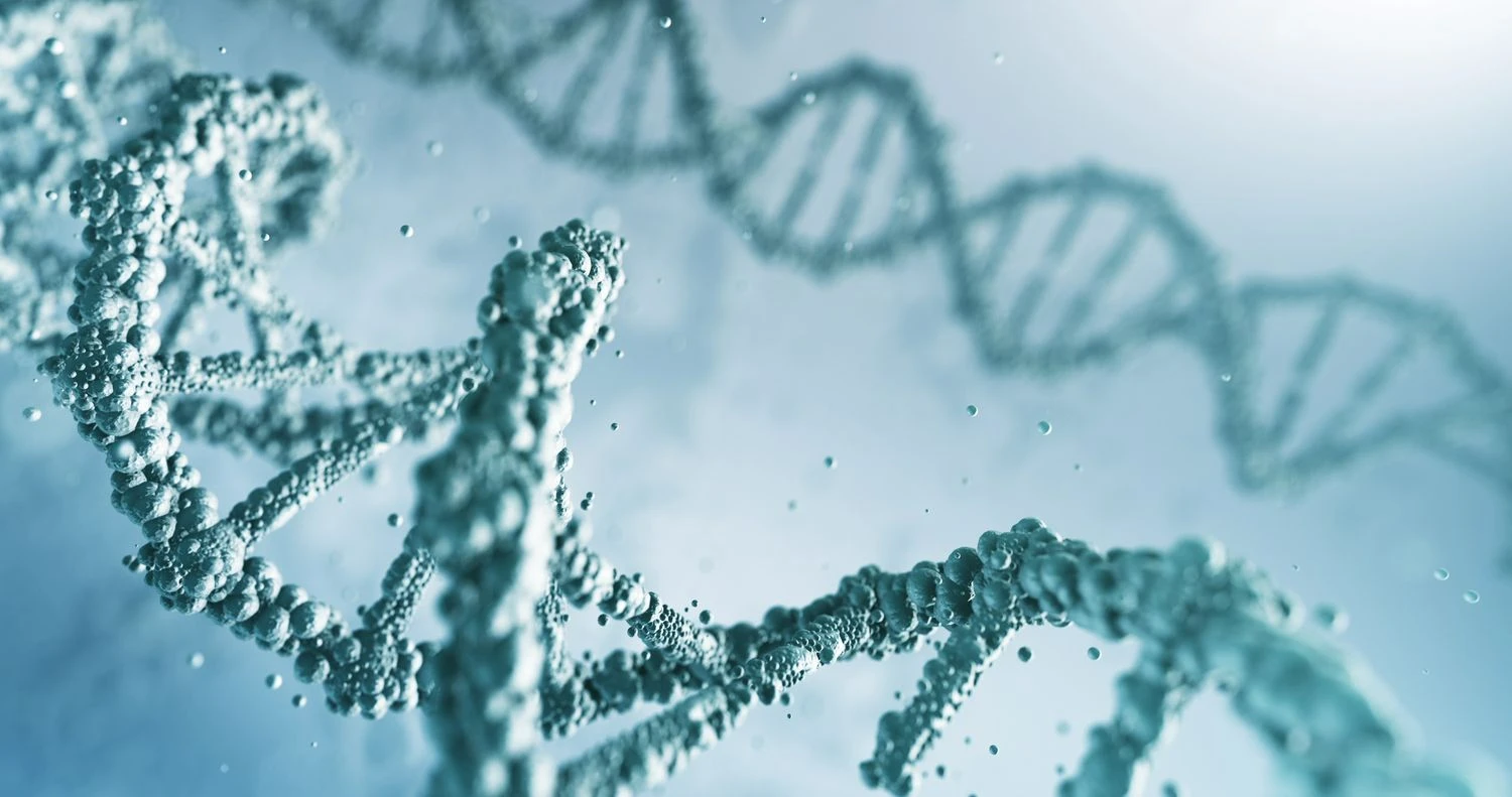 ساختار دقیق DNA