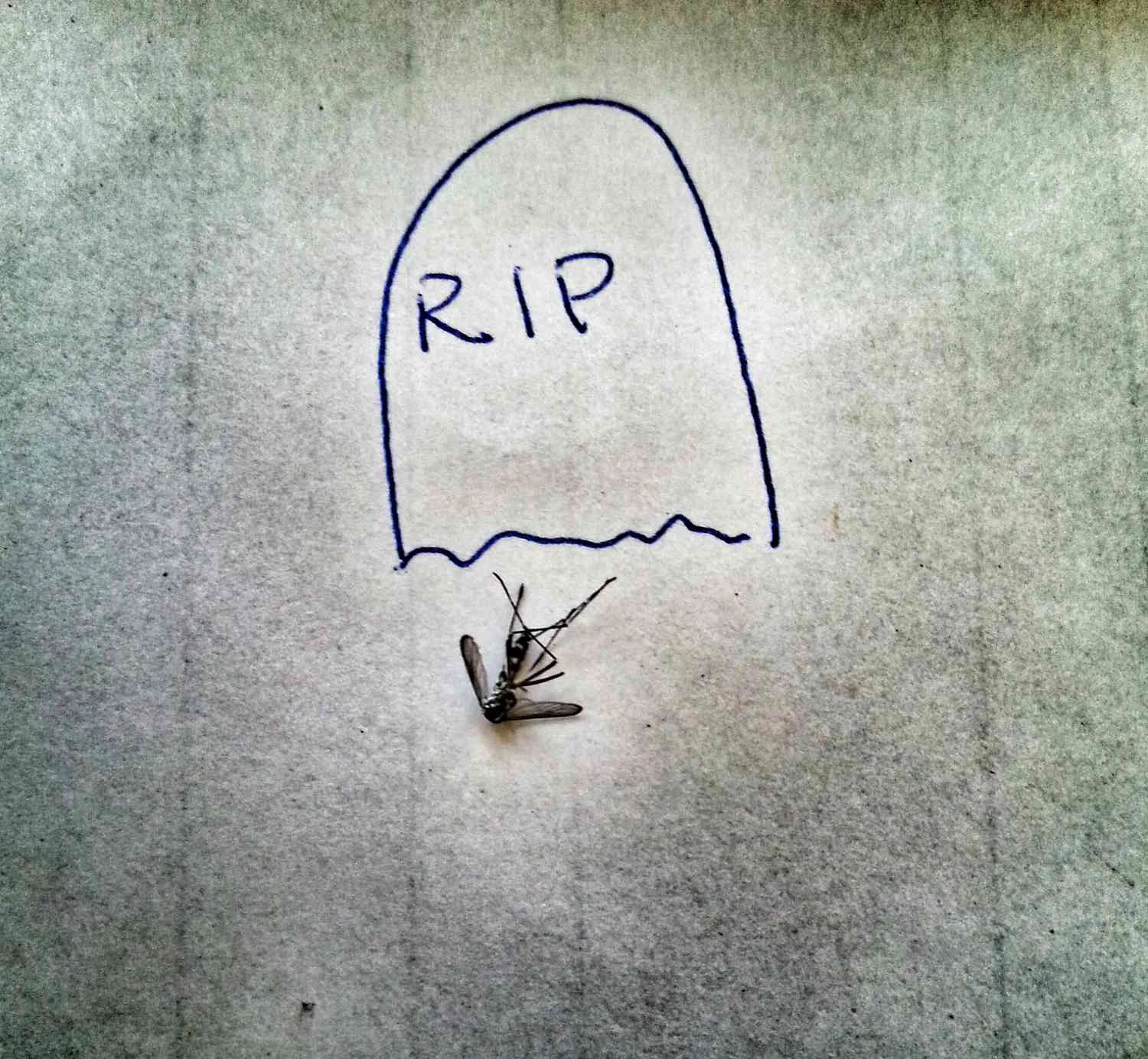 ممکن است برای کشتن پشه ها به استفاده از ترکیبی از روش ها نیاز داشته باشید.