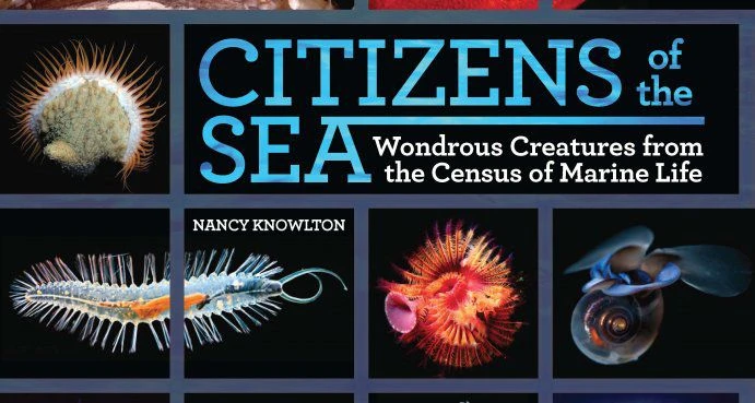 تصویر جلد کتاب Citizens of the Sea