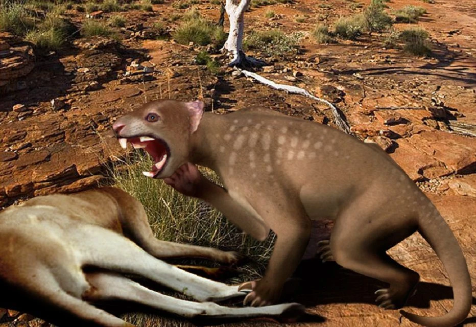 تصویر هنری از تیلاکولئو در حال حمله به یک حیوان دیگر