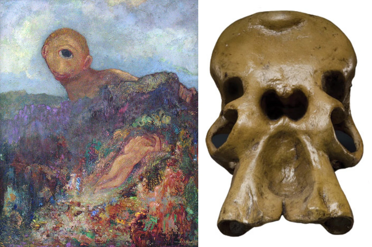 جمجمه دینوتریوم