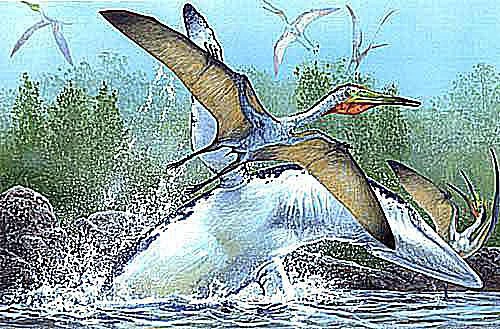 تصویری از پتروداکتیلوس