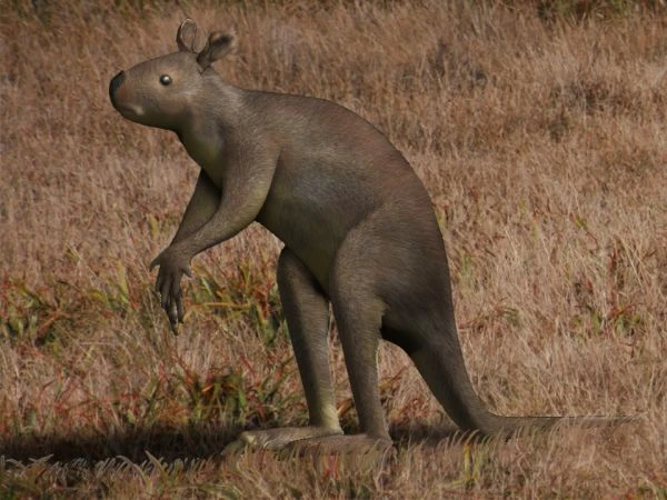 تصویری ��ز استنوروس