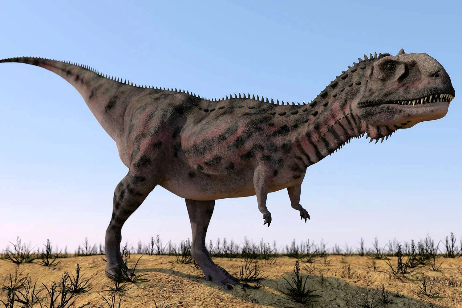 پادشاه سوسمارهای ظالم