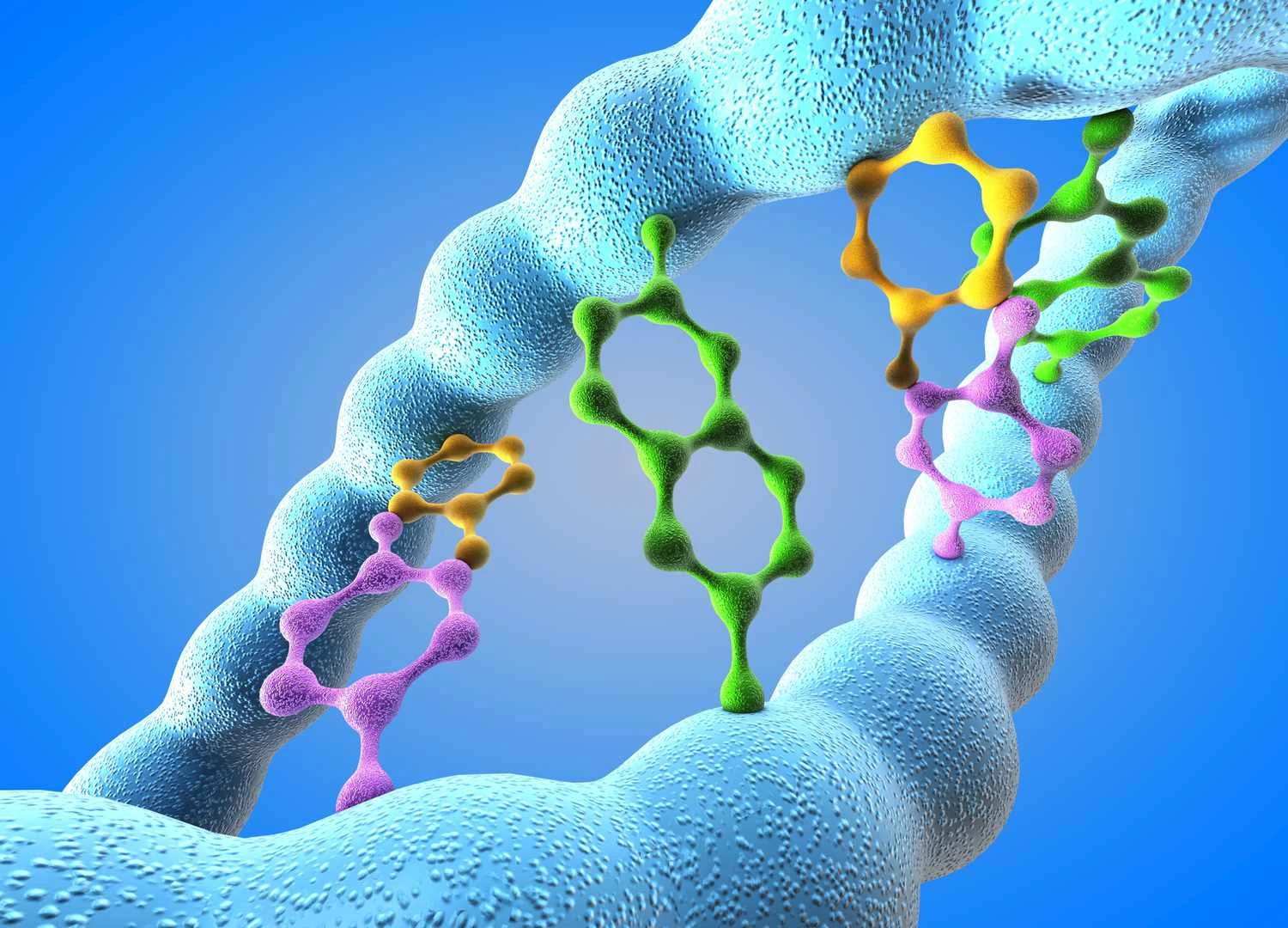 مولکول DNA