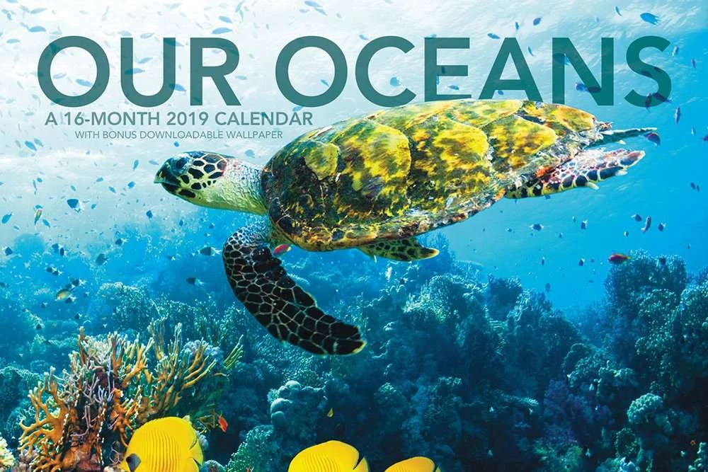 تقویم زندگی دریایی 2019