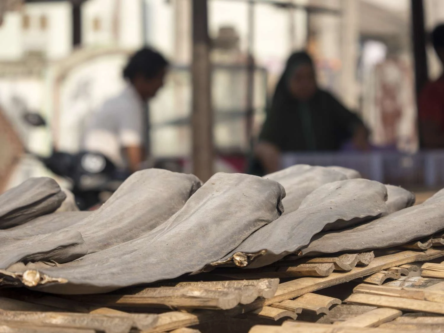 تجارت باله کوسه و جدا کردن باله در بازار ماهی در اندونزی