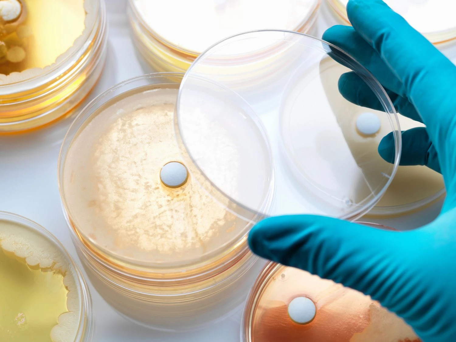 قرص‌های آنتی‌بیوتیک