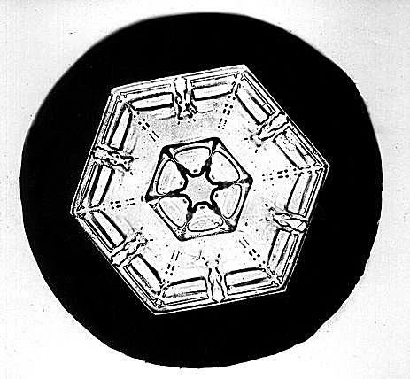 این دانه برف ساختار کریستالی صفحه ای شش ضلعی را نشان می دهد.