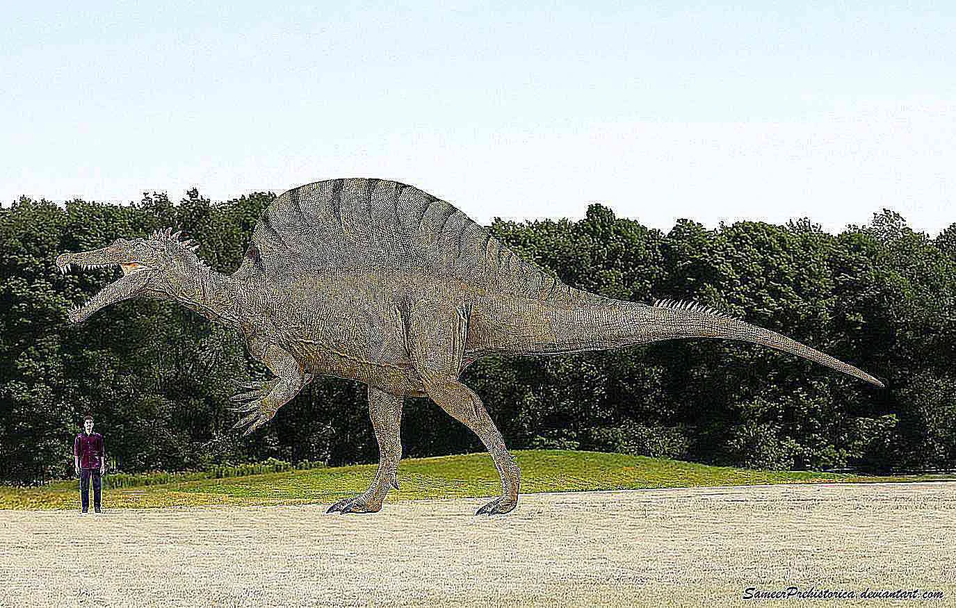 اسپینوسوروس در مقایسه با انسان