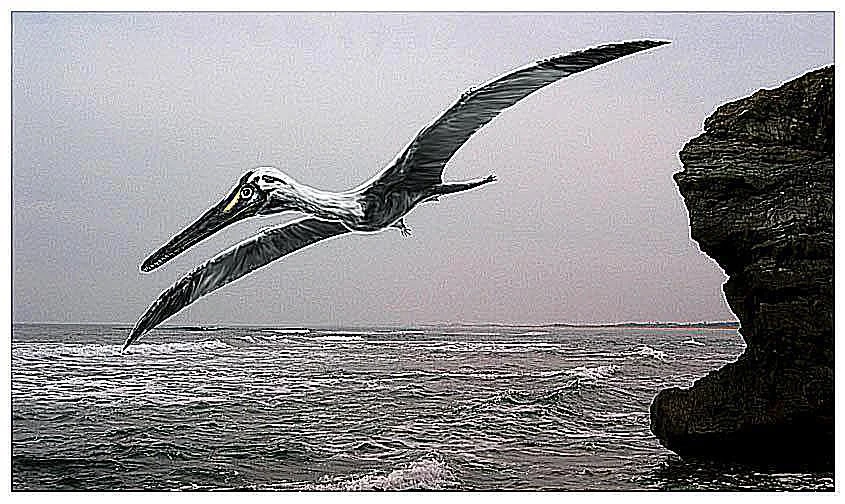 تصویری از پتروداکتیلوس