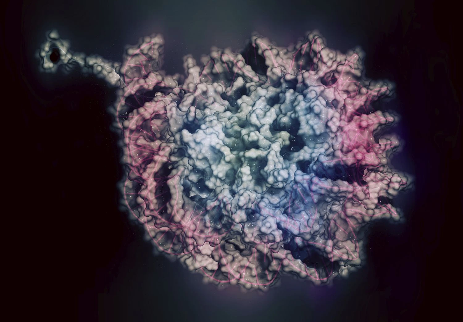 زیست مولکول ها