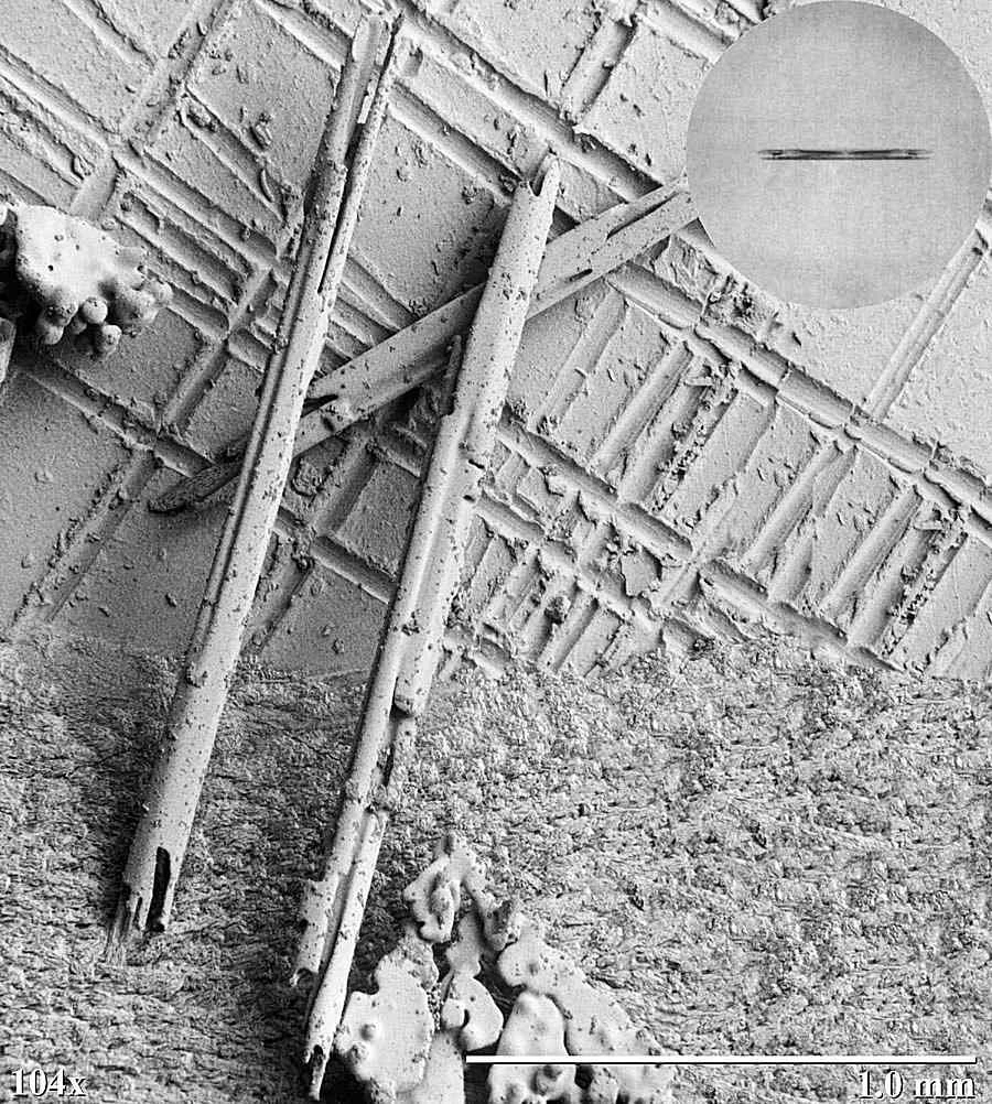 سوزن ها بلورهای یخی باریکی هستند که معمولاً در دمای حدود -5 درجه سانتی گراد تشکیل می شوند.