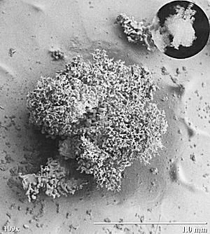 یک دانه برف زیر لایه ای از یخ پنهان شده است.