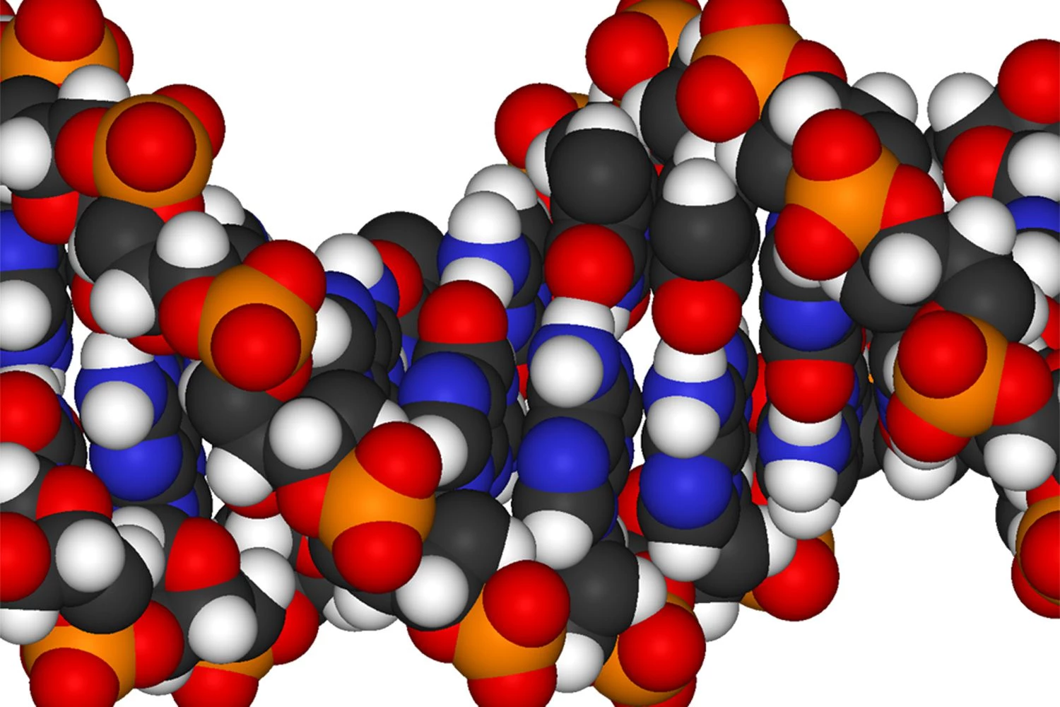 رونویسی DNA به RNA - پاکسازی پروموتر
