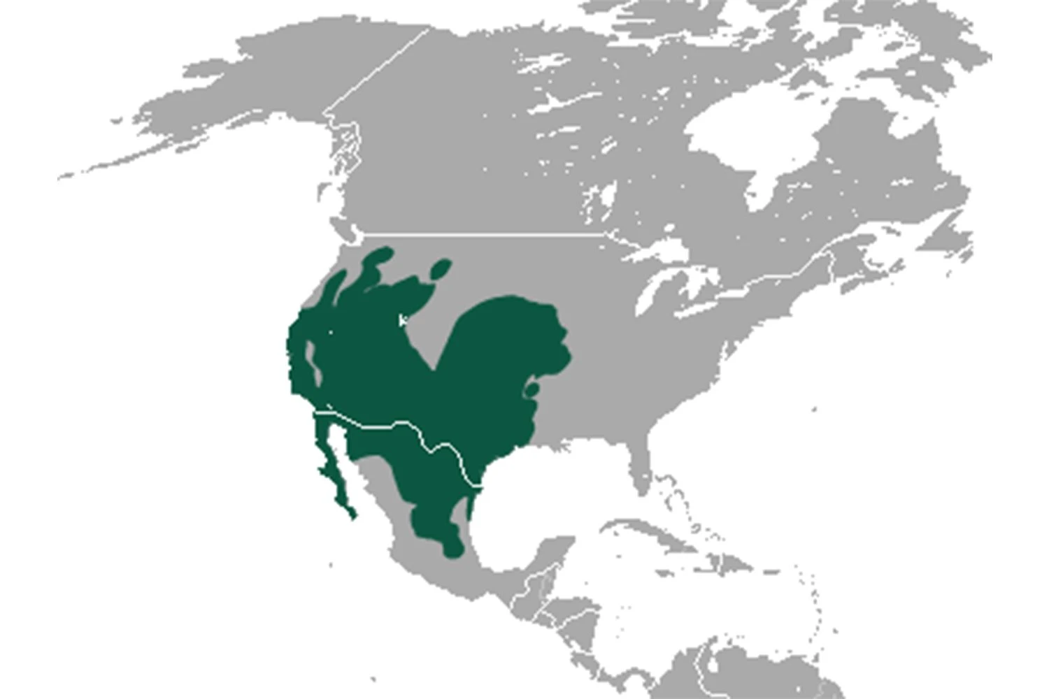محدوده زندگی خرگوش صحرایی دم‌سیاه