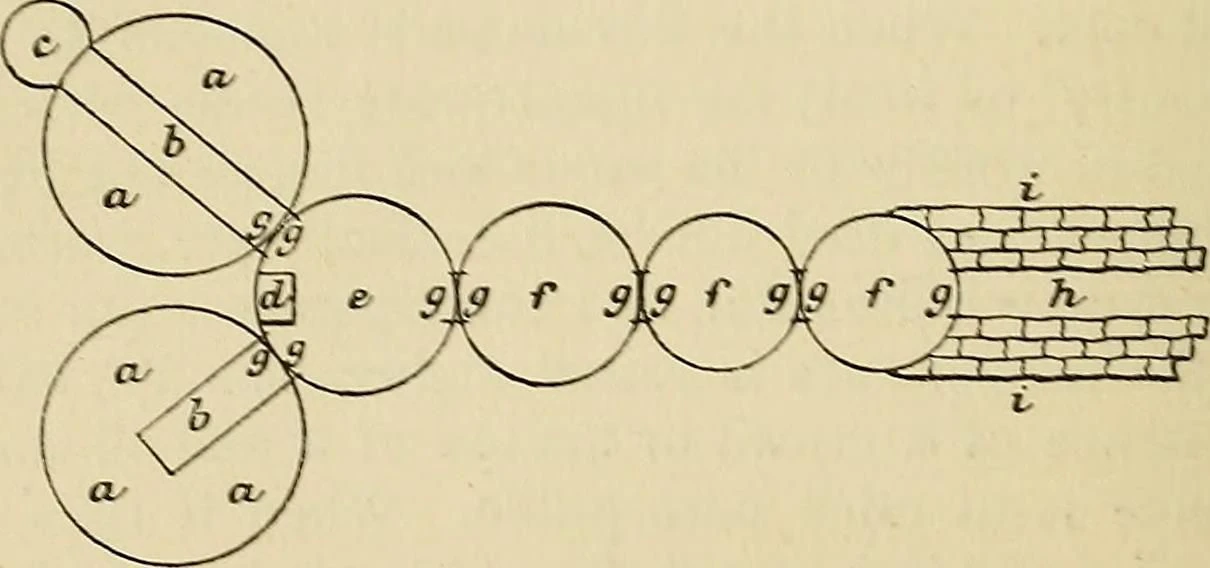 نقشه زمینی دو خانه برفی اسکیمویی و آشپزخانه و محراب‌های متصل