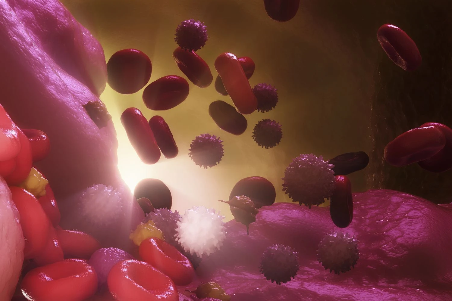 سلول های سیستم ایمنی