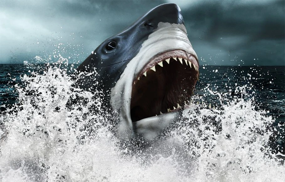 آرواره های مگالودون