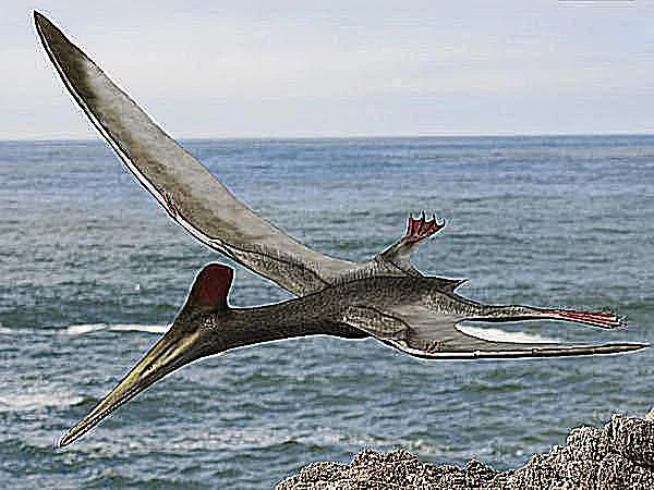 تصویری از پرواز پتروداکتیلوس