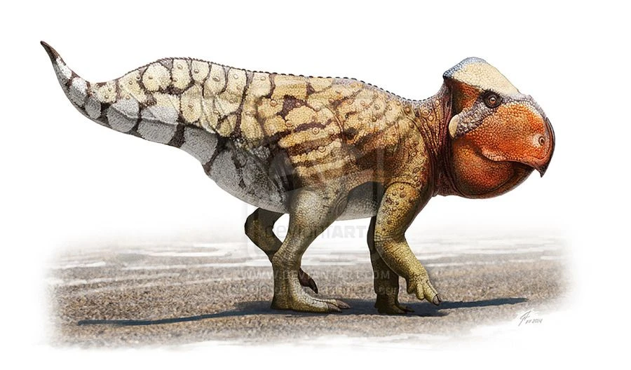 اودانوسراتوپس