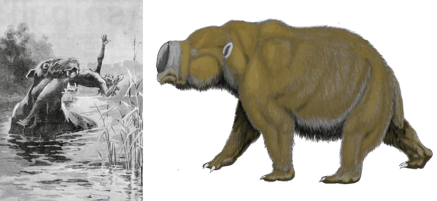 بانیپ و دیپروتودون