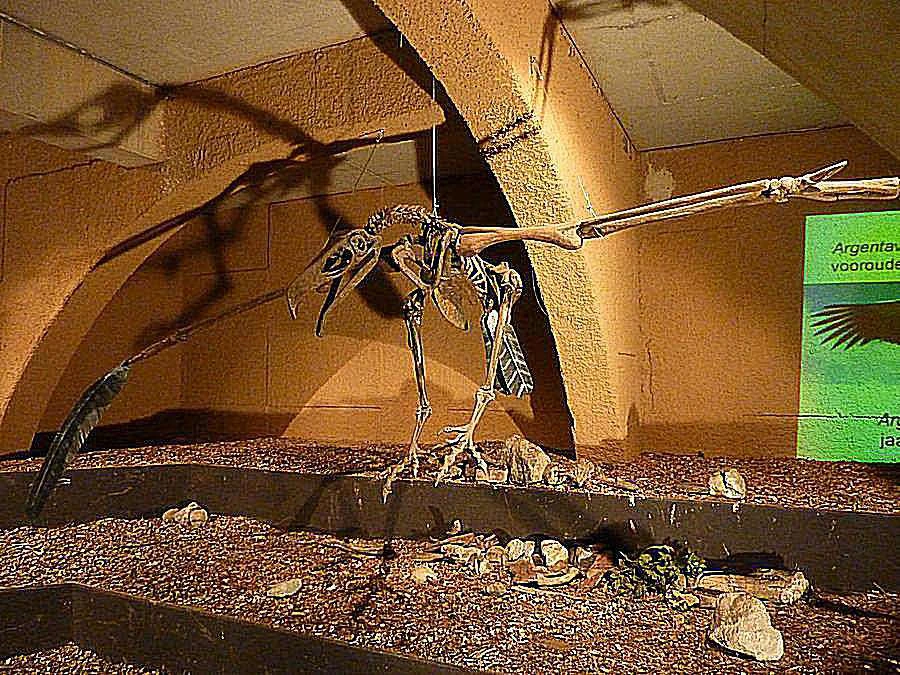 آرژانتاویس