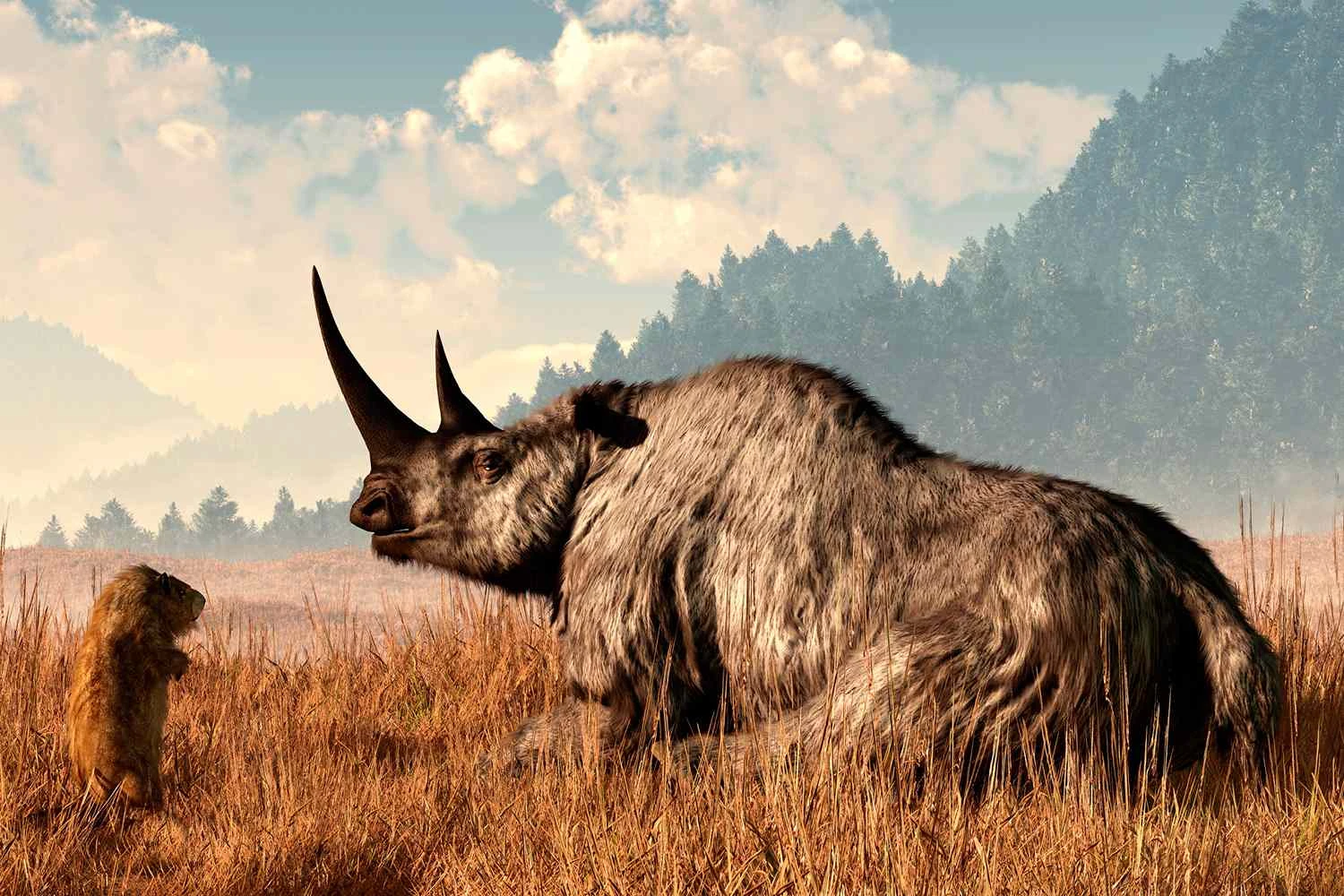 کرگدن پشمالو