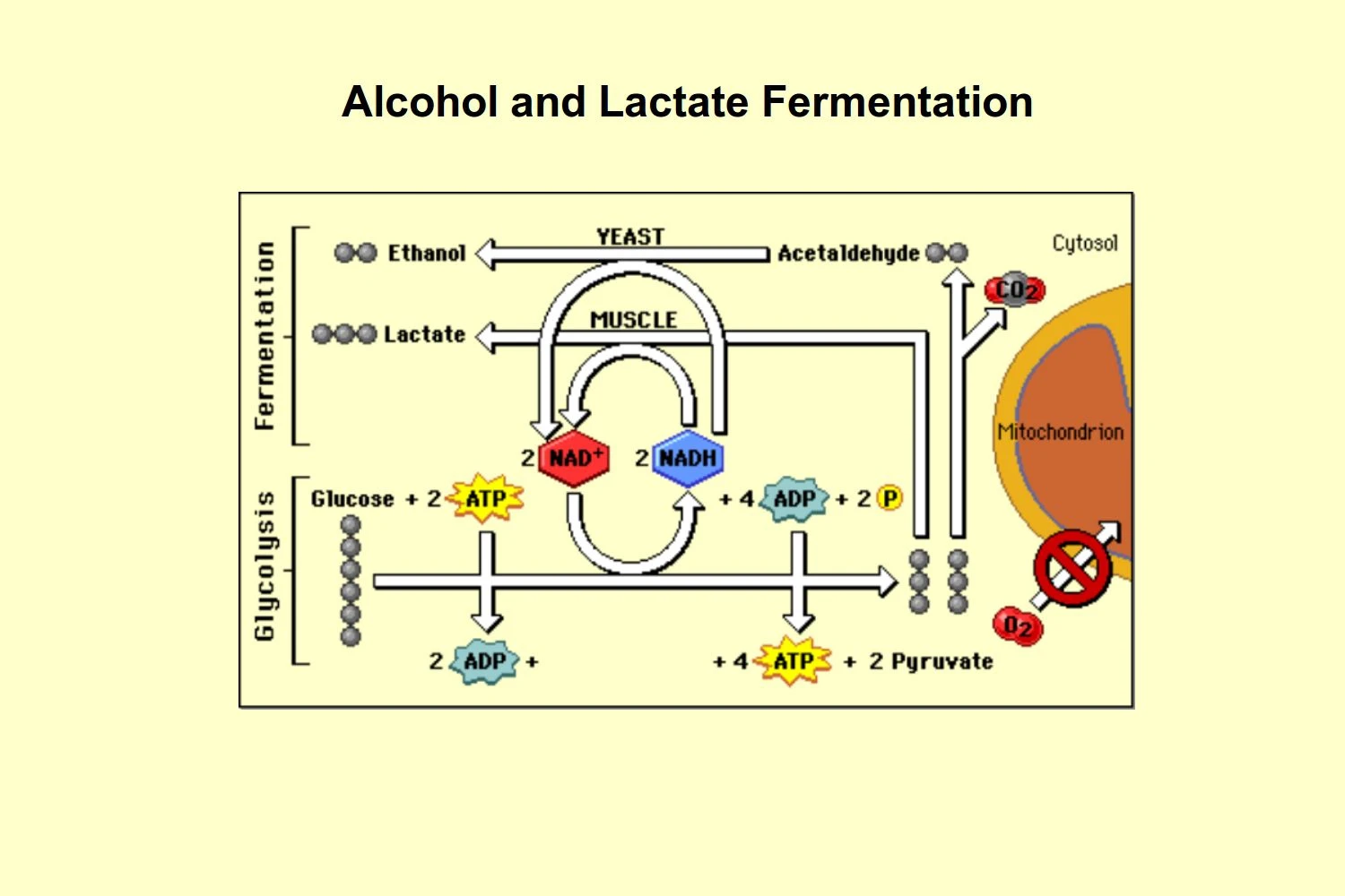 فرآیندهای <a href=