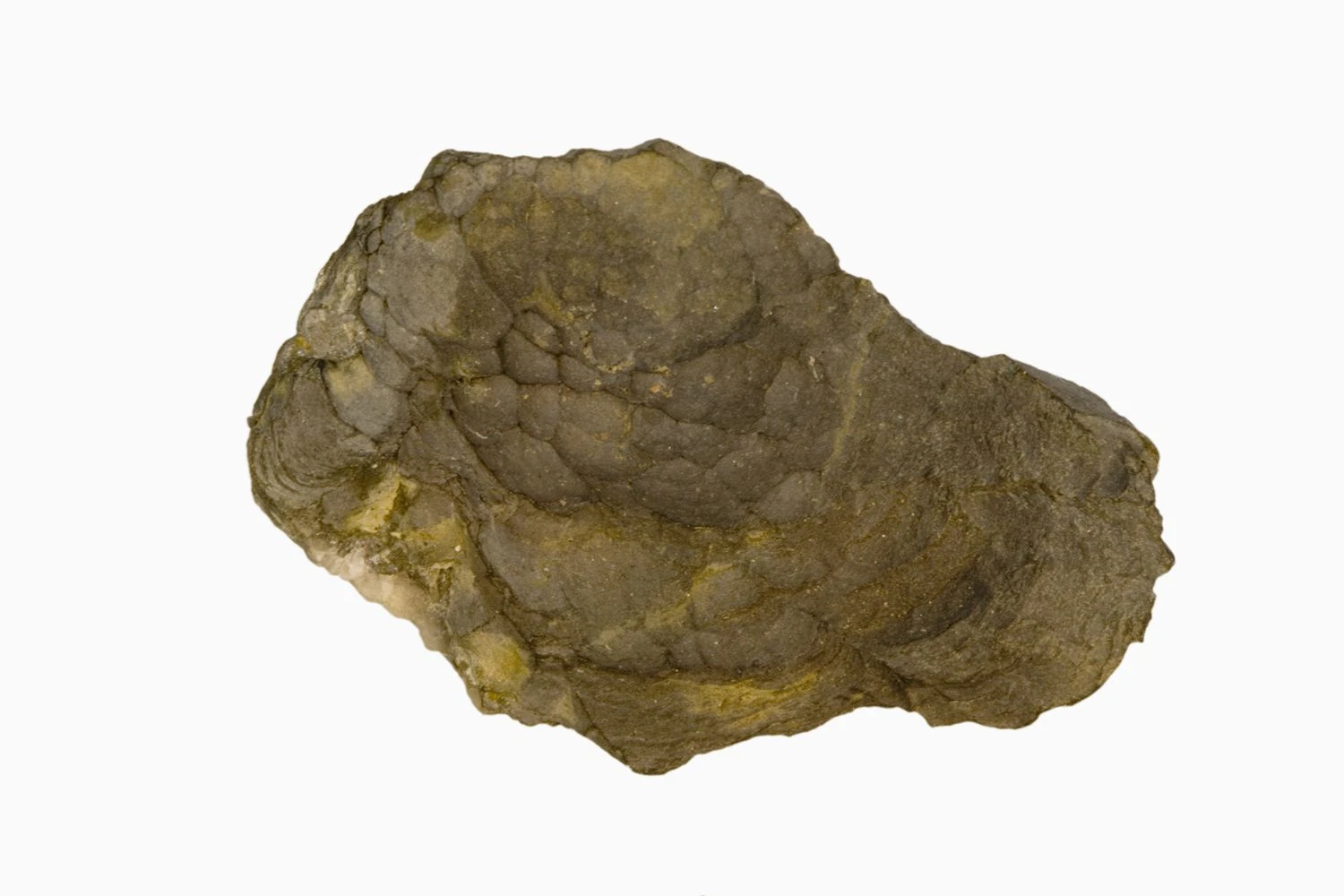 آرسنیک و ترکیب های آن سمی هستند. آرسنیک عنصری است که هم به شکل آزاد و هم در Minerals وجود دارد.