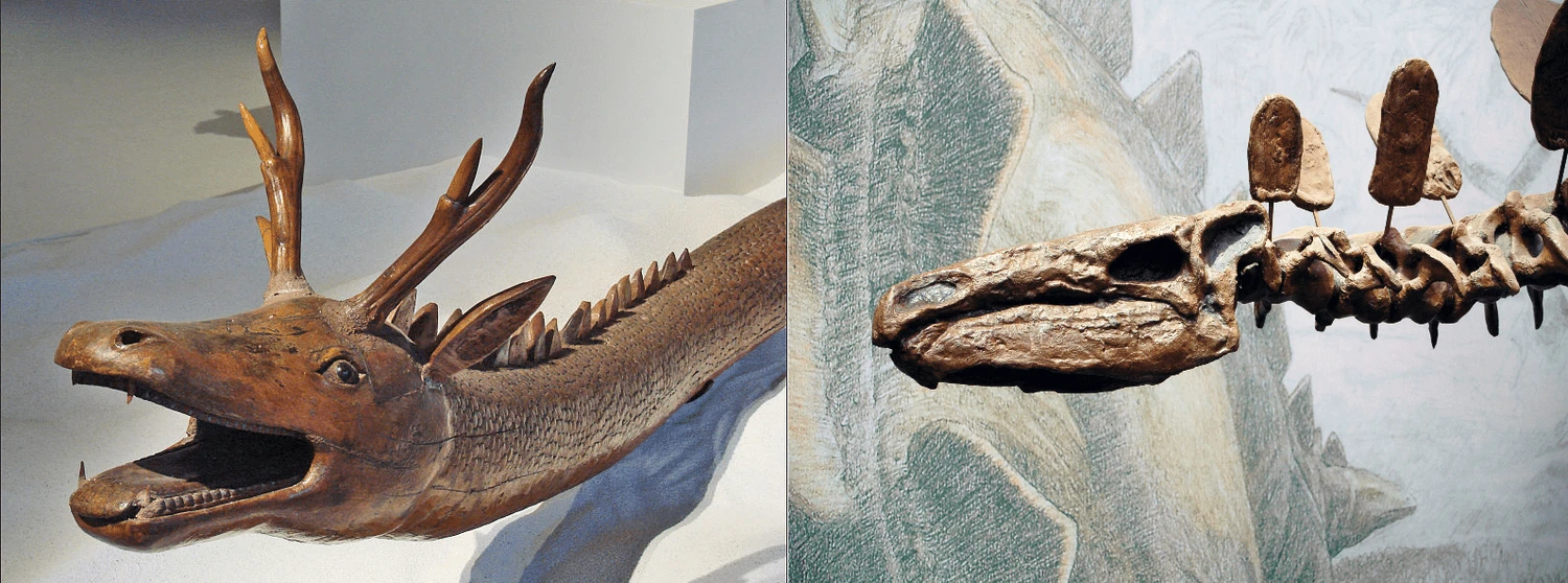 اژدها و دایناسور