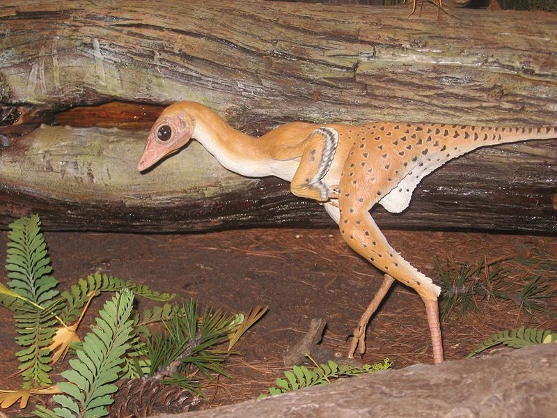 دایناسور می