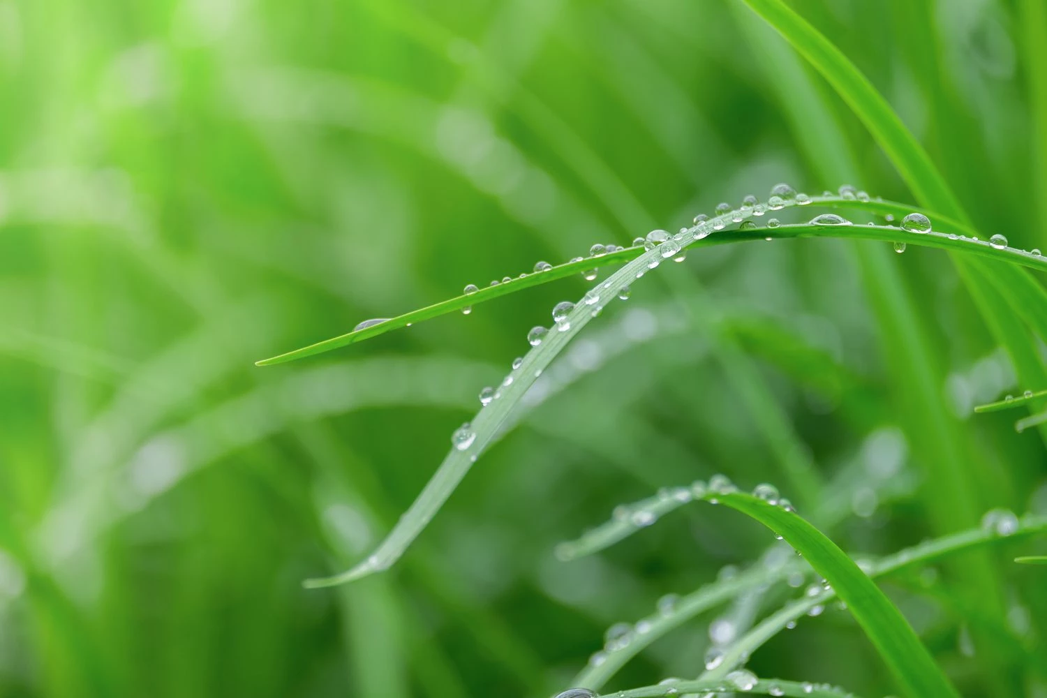 میعان (گاز → مایع)