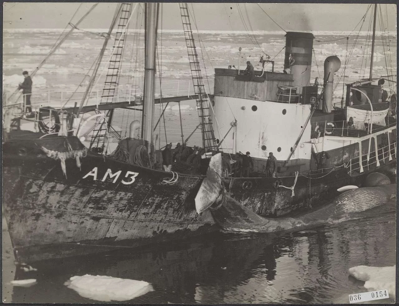 تصویری از کشتی شکار نهنگ در سال 1947