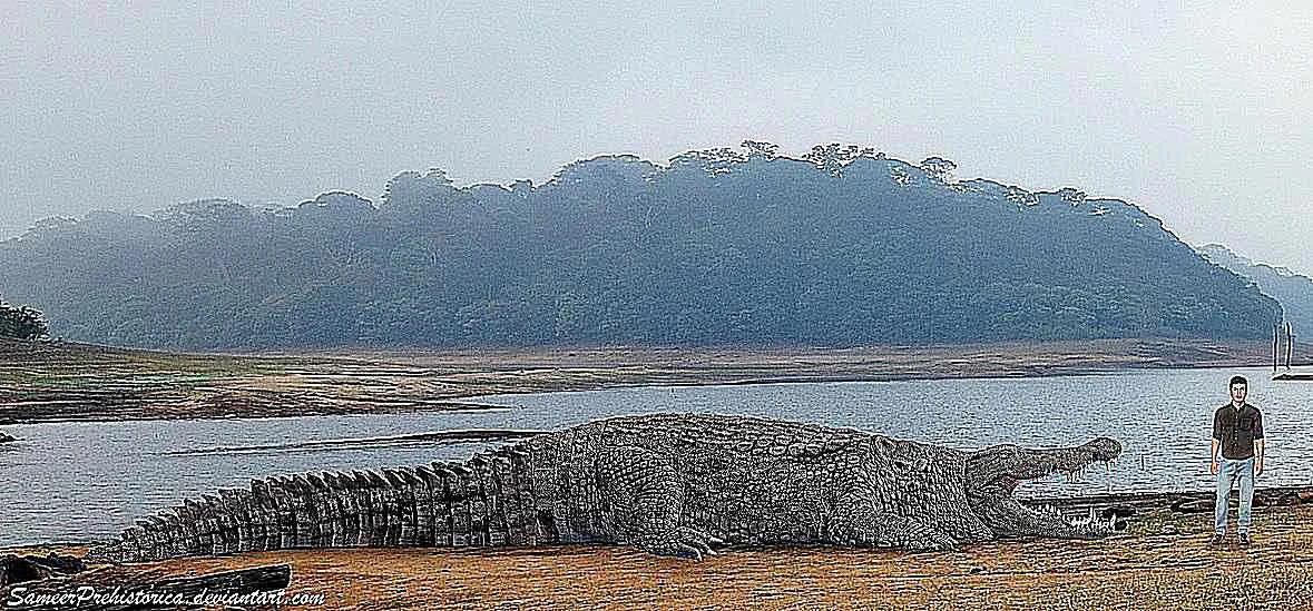 دینوسوکوس در مقایسه با انسان