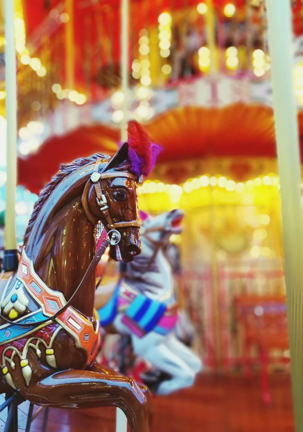 اسب های کاروسل