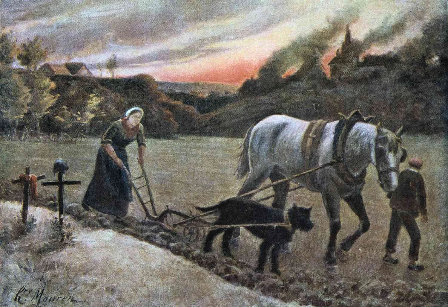 زنی با سگ و اسب کارش مزرعه ای را شخم می زند.