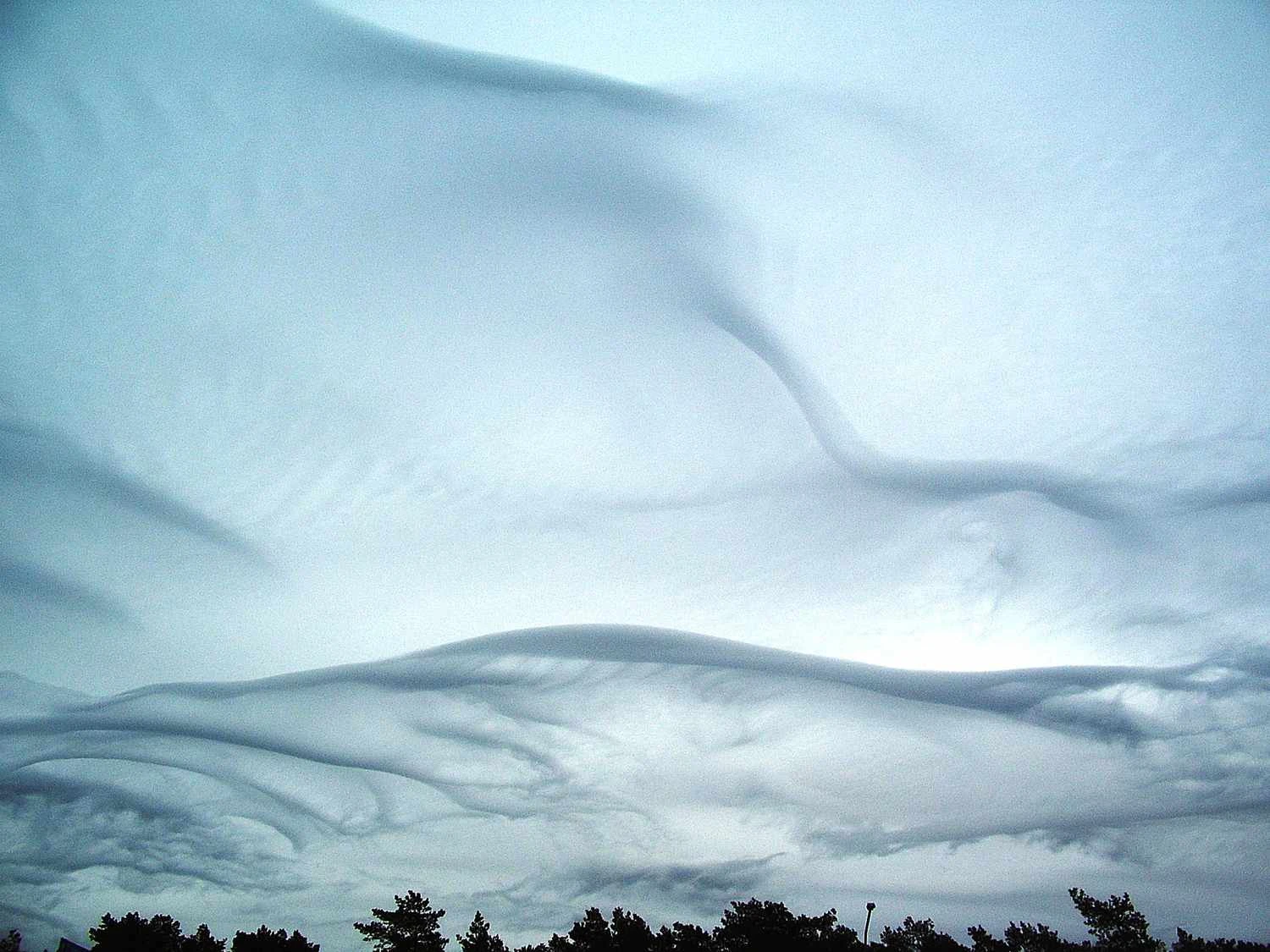 Undulatus asperatus بر فراز تالین، استونی در آوریل 2009.