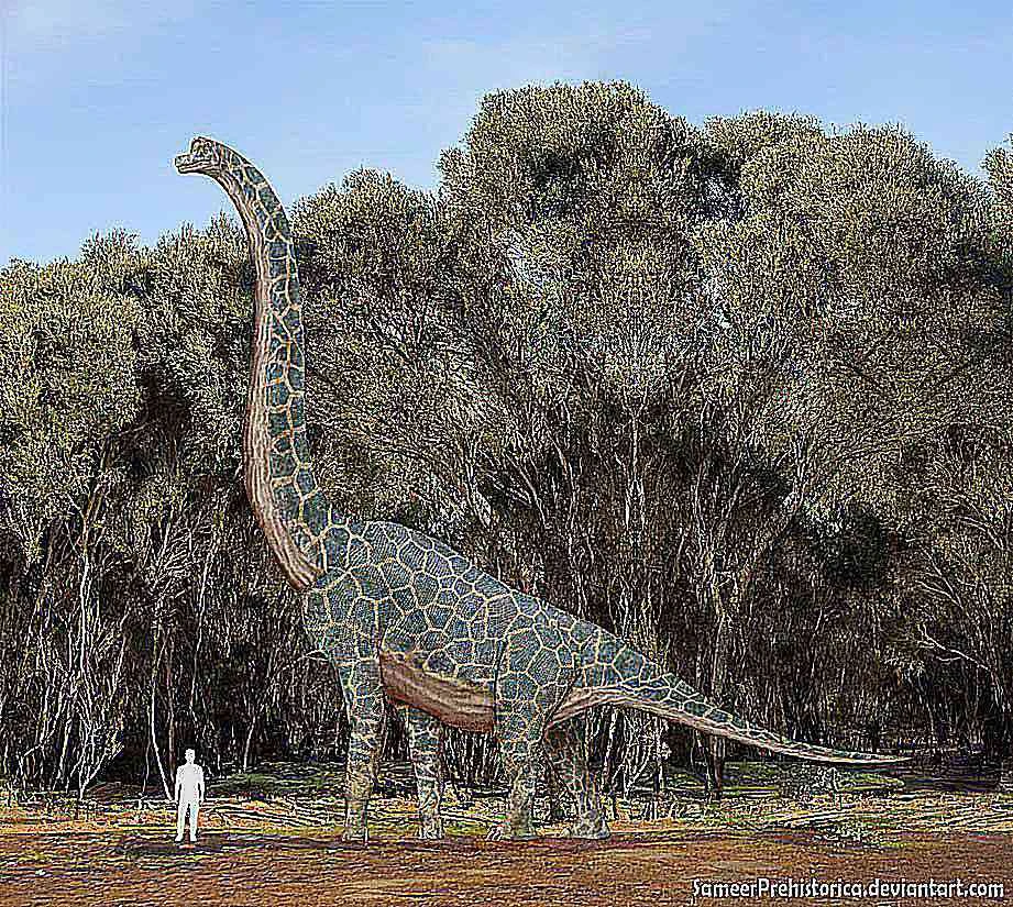 گیرافاتیتان در مقایسه با انسان