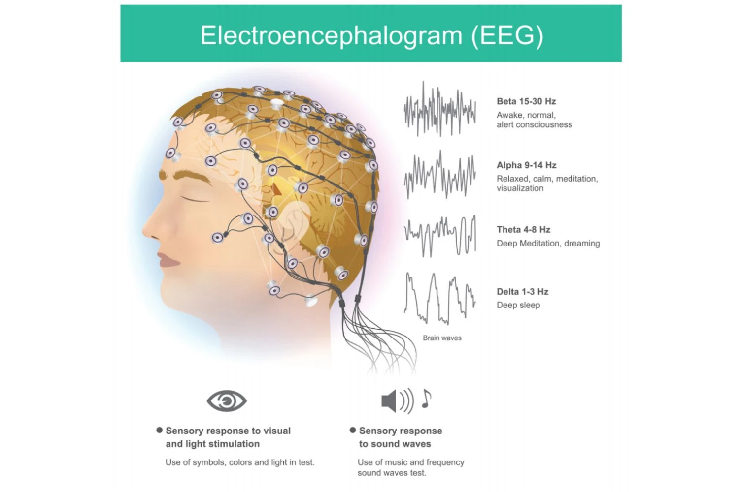 EEG
