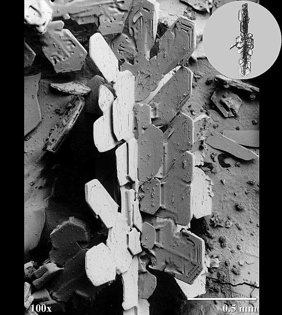 بیشتر دانه های برف شکل های کریستالی نامنظمی دارند.
