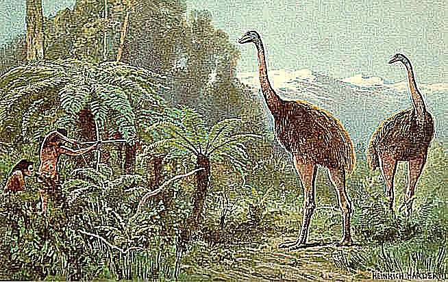 موآی غول‌پیکر