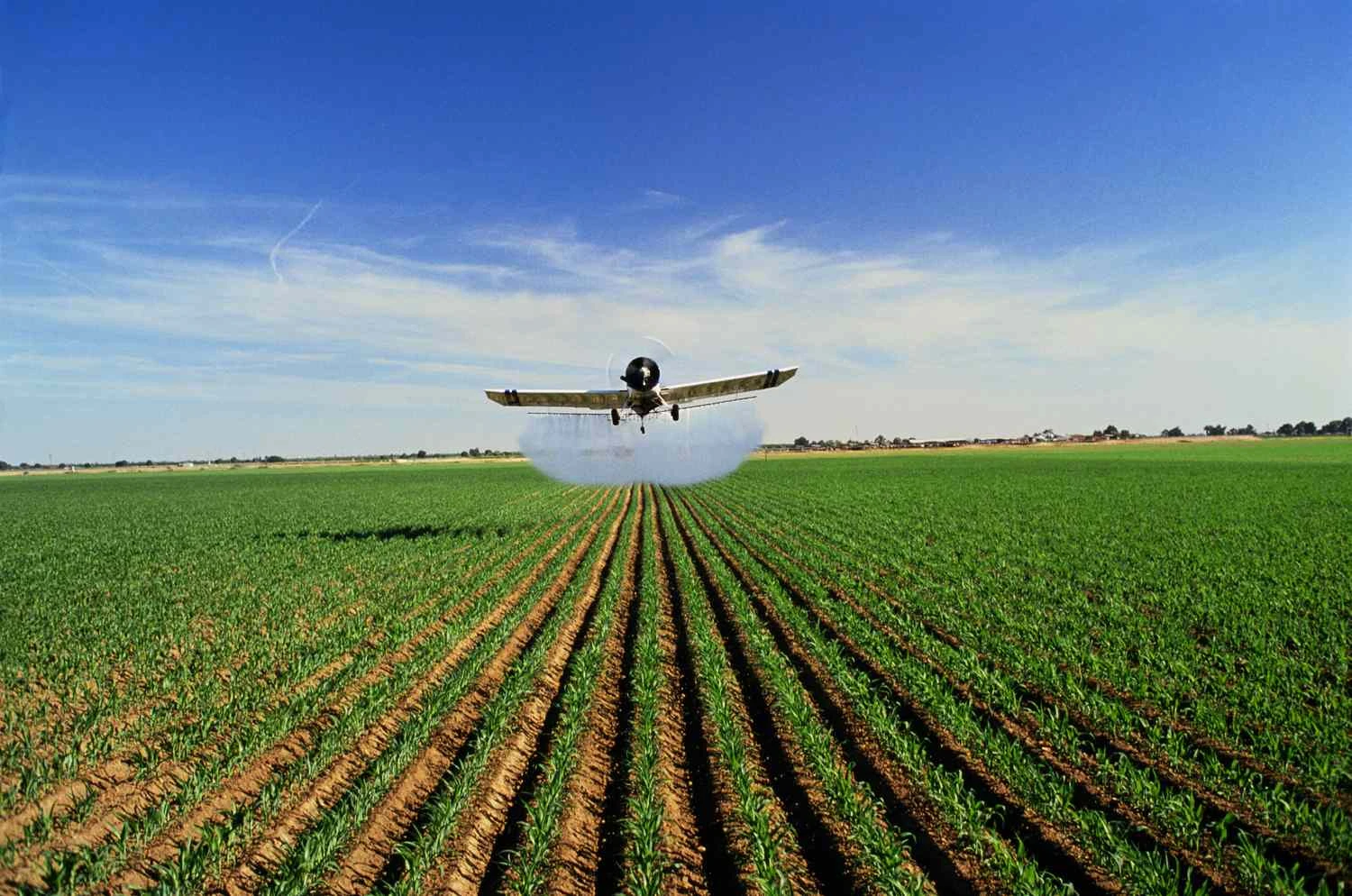 هواپیما در حال سمپاشی ذرت (Zea mays) در کالیفرنیا، ایالات متحده آمریکا - عکس استوک