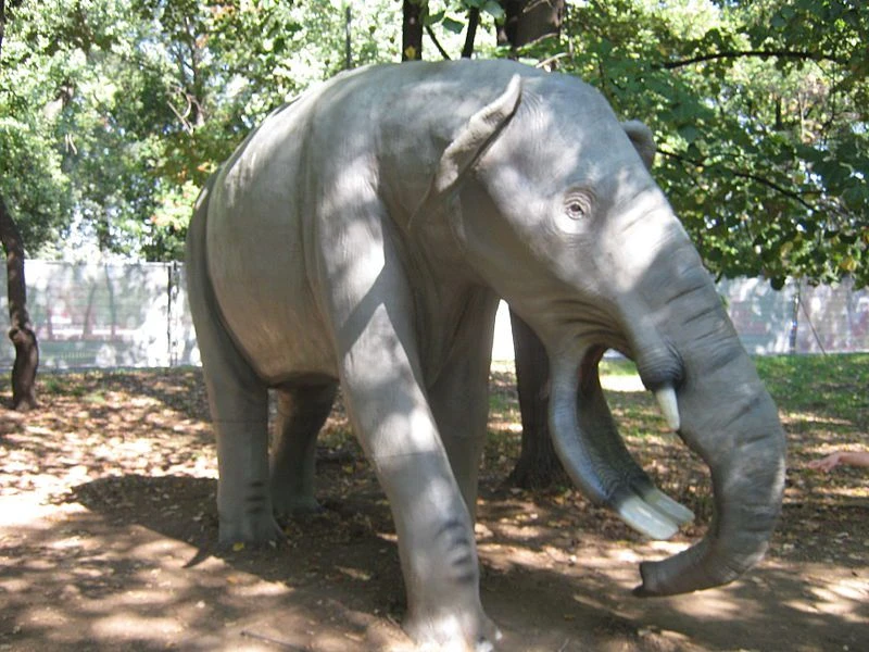 پلاتی‌بلودون