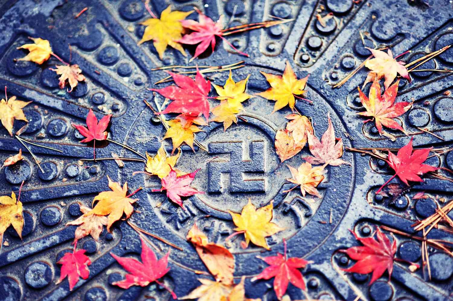 سواستیکا در جهت عقربه‌های ساعت بر روی درپوش چاهک ژاپنی.