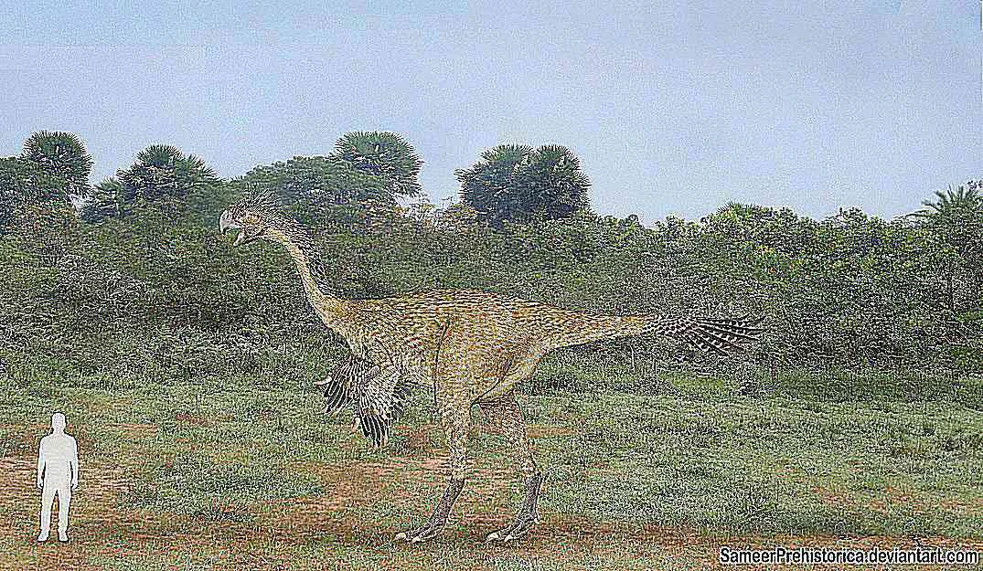 تصویری از اسکلت گیگانتوراپتور